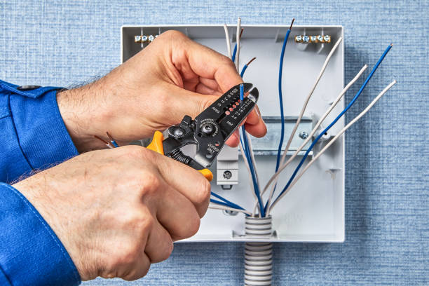 Best Electrical Panel Upgrades  in Dallesport, WA